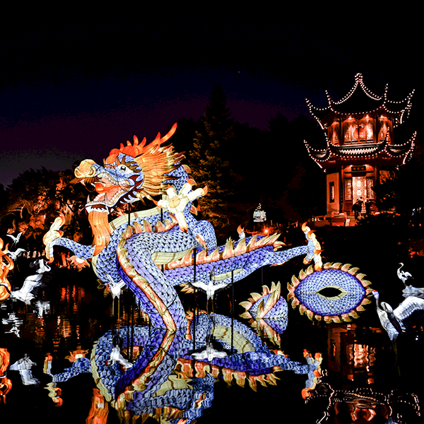 Host Your Own Chinese New Year Party