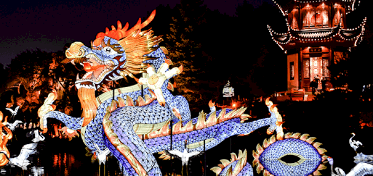 Host Your Own Chinese New Year Party Host Your Own Chinese New Year Party