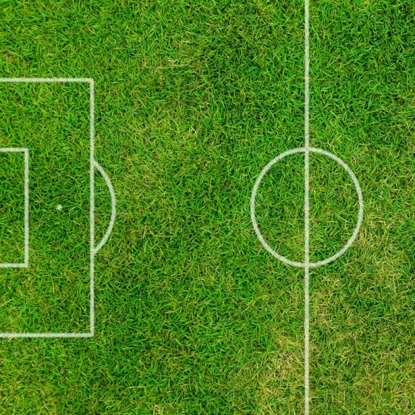 Winter World Cup – Gather your Colleagues Winter World Cup – Gather your Colleagues