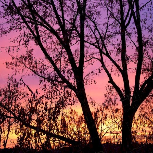 70 Years Ago Today… 70 Years Ago Today…