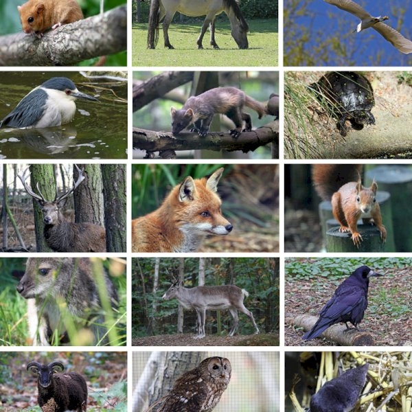 Furniture Donation Supports Wildwood Trust Furniture Donation Supports Wildwood Trust